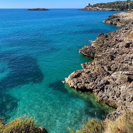 Marina Rooms Marina di Camerota Εξωτερικό φωτογραφία