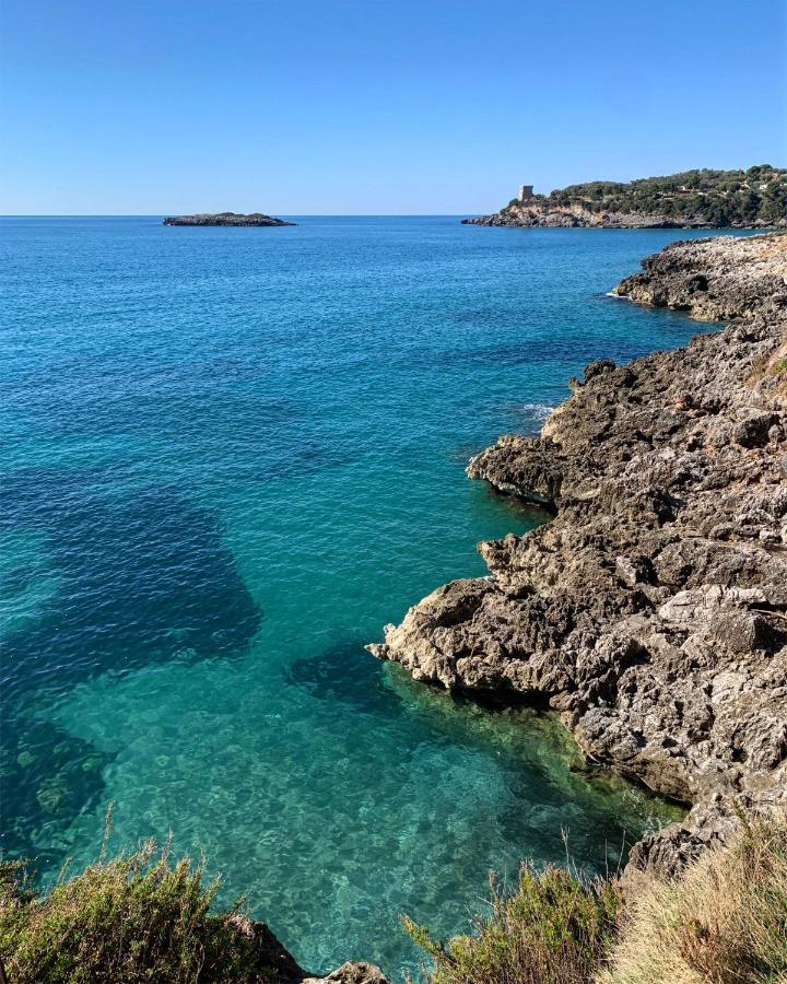 Marina Rooms Marina di Camerota Εξωτερικό φωτογραφία